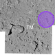 An image of the target area (in purple) prior to the sample extraction. The white X shows where the marker was eventually placed.